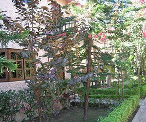 Corbett Treff Otel Dhikuli Dış mekan fotoğraf